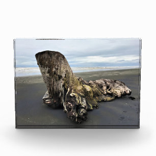 Driftwood at Benson Beach, Cape Disappointment, WA Photo Block