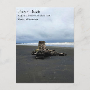 Driftwood at Benson Beach, Cape Disappointment, WA Postcard