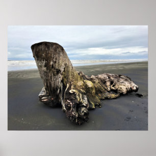 Driftwood at Benson Beach, Cape Disappointment, WA Poster