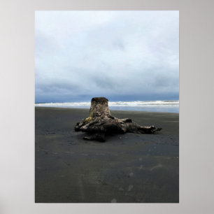 Driftwood at Benson Beach, Cape Disappointment, WA Poster