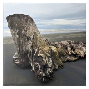 Driftwood at Benson Beach, Cape Disappointment, WA Tile