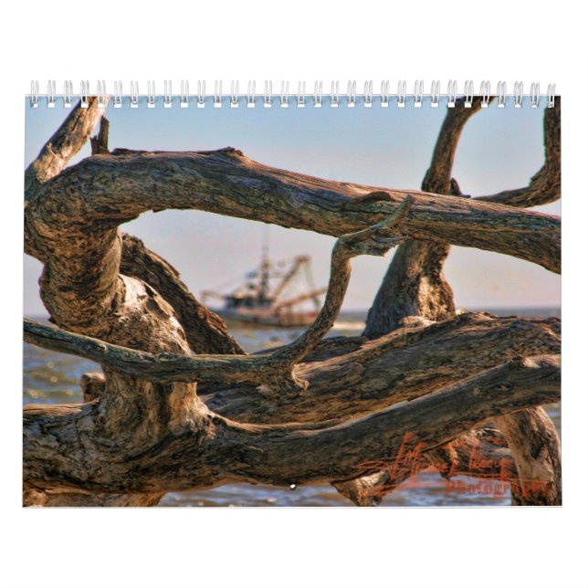 Driftwood Beach calander Calendar (Cover)