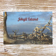 Driftwood Beach on Jekyll Island Doormat