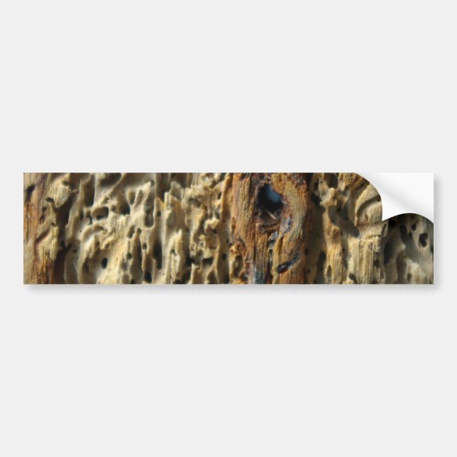 Driftwood Bumper Sticker (Front)