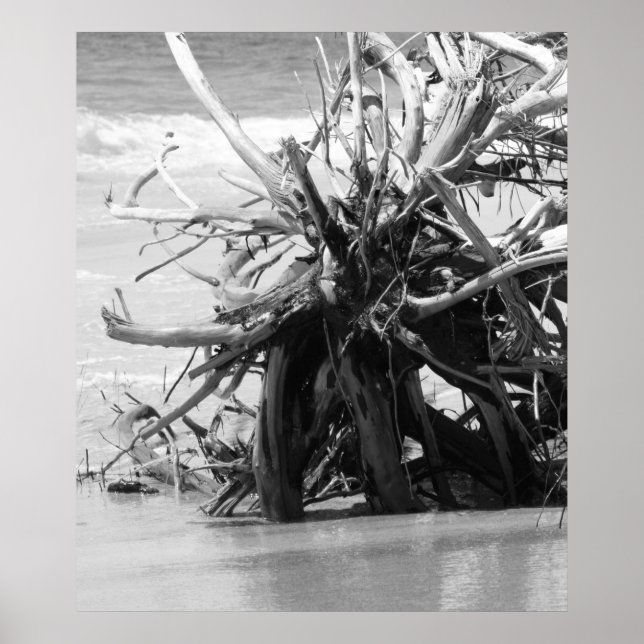 Driftwood Burial Poster (Front)