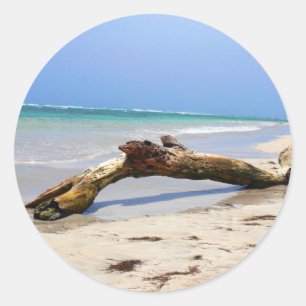 Driftwood Classic Round Sticker