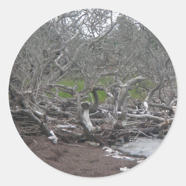 Driftwood & Eel Grass Sticker (Front)