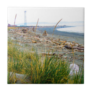 Driftwood Filled Beach Tile