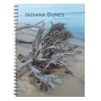 Driftwood Indiana Dunes National Park  Magnet Post