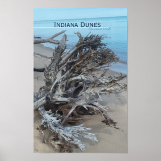 Driftwood Indiana Dunes National Park  Magnet Post Poster