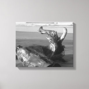 Driftwood Log Costa Rica Beach Photo Canvas Print