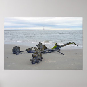 Driftwood, Morris Island Lighthouse, South Carolin Poster