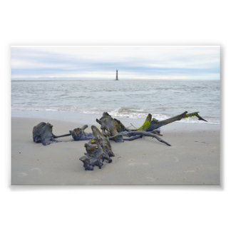 Driftwood, Morris Island Lighthouse South Carolina Photo Print
