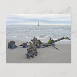 Driftwood, Morris Island Lighthouse South Carolina Postcard