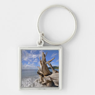 Driftwood On The Shoreline Of French Beach Keychain
