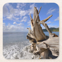 Driftwood On The Shoreline Of French Beach