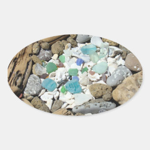 Driftwood Seashells stickers Sea Glass Fossils