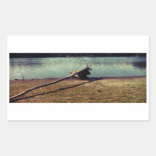 Driftwood Sticker