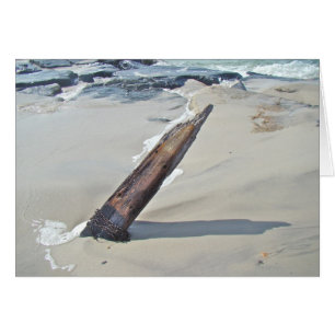 Driftwood Unchained