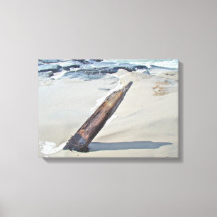 Driftwood Unchained Canvas Print