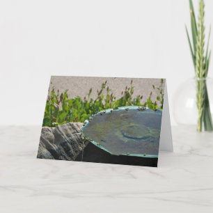 Drinking Bees, Phoenix, Arizona Card