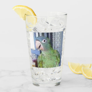 Drinking Glass with Blue Crown Conure