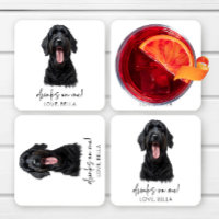 Drinks On Me! Black Russian Terrier Dog Wedding