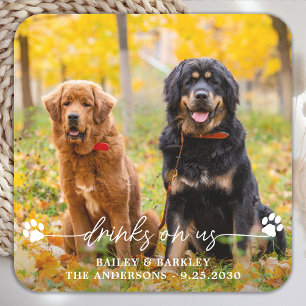 Drinks On Us Open Bar Dog Photo Pet Wedding  Square Paper Coaster
