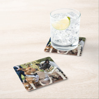 Drinks On Us Simple Photo Cute Fun Dog Pet Wedding Square Paper Coaster