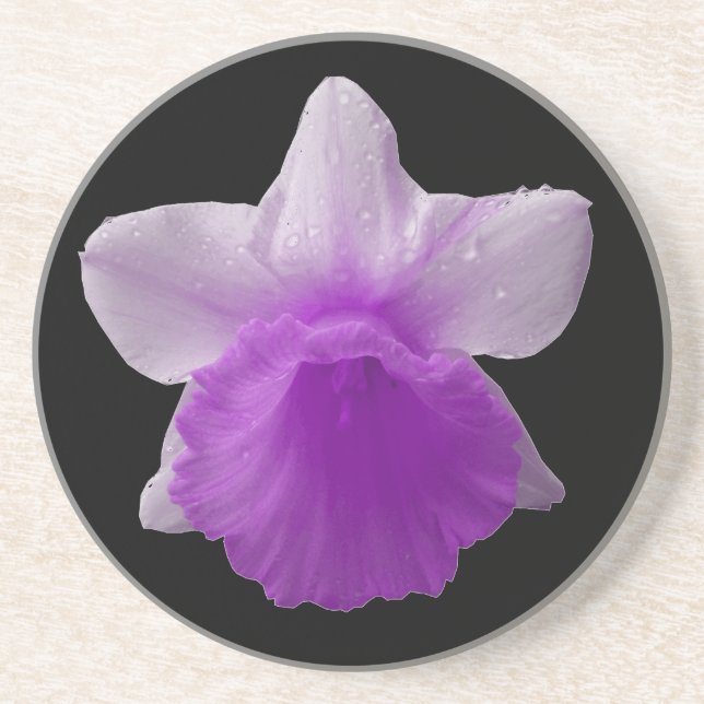 Dripping Daffodil Purple Coasters (Front)