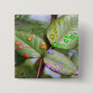 Dripping with Pride 2 Inch Square Button