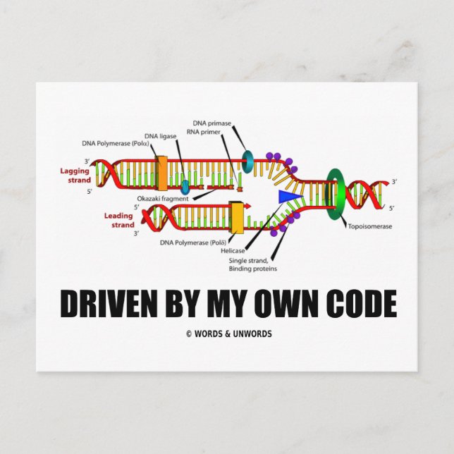 Driven By My Own Code (DNA Replication) Postcard (Front)