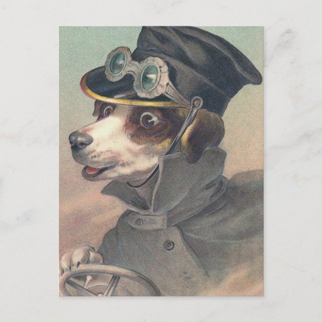 Driver Dog Vintage Illustration Postcard (Front)