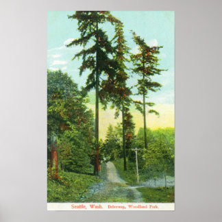 Driveway View at Woodland Park Poster