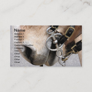 Driving Bit Business Card