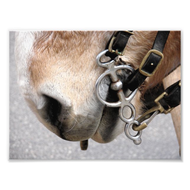 Driving Bit Photo Print (Front)