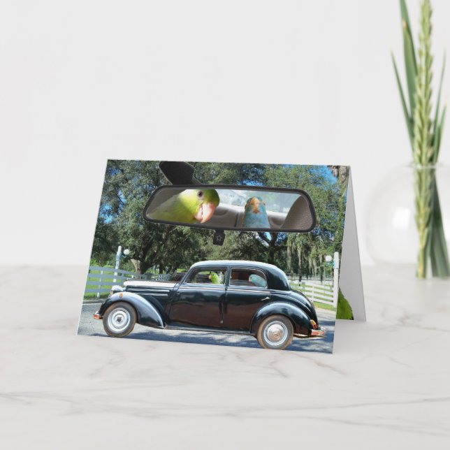 Driving Miss Daisy Parrotlet bird greeting card (Front)
