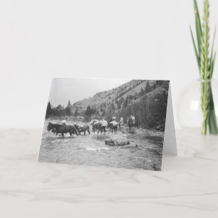 Driving pack mules across the river card