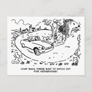 Driving Sports Car in Countryside with Hedgehog Postcard
