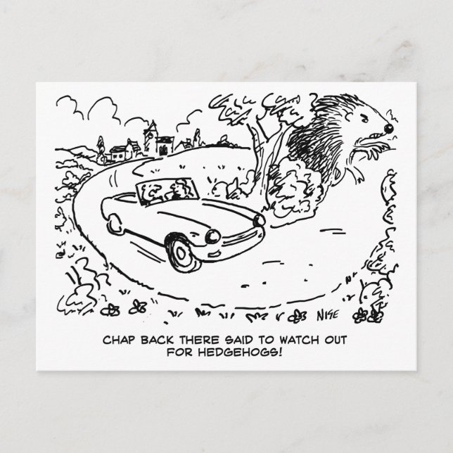 Driving Sports Car in Countryside with Hedgehog Postcard (Front)