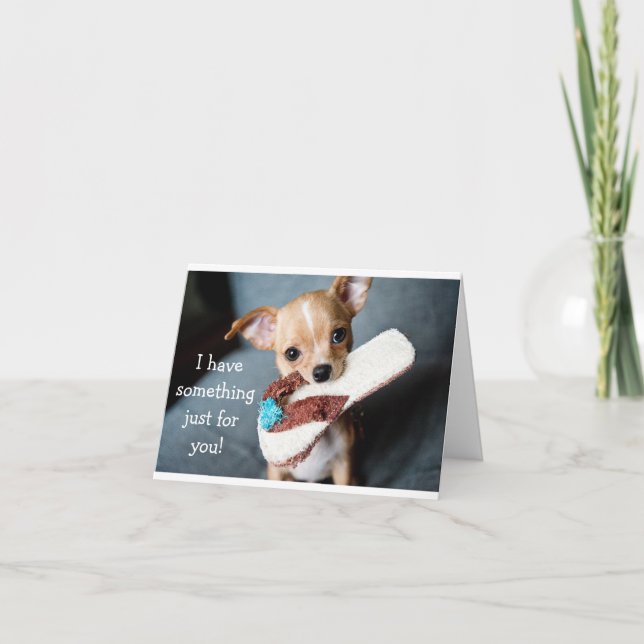 Drôle adorable chihuahua chien carte d'anniversair (Devant)