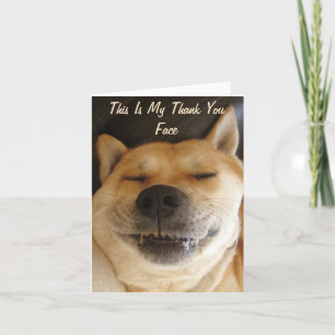 drôle akita japonaise avec joli sourire merci