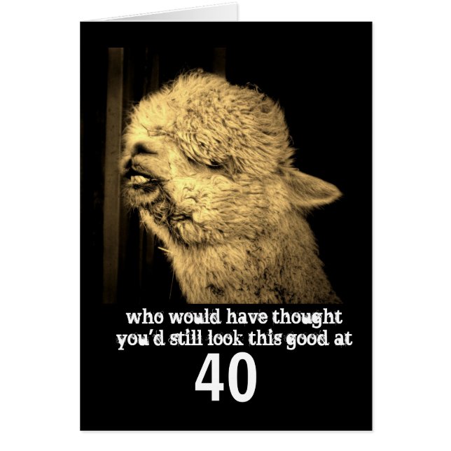 drôle animal humour alpaga photo personnalisée ann (Devant)