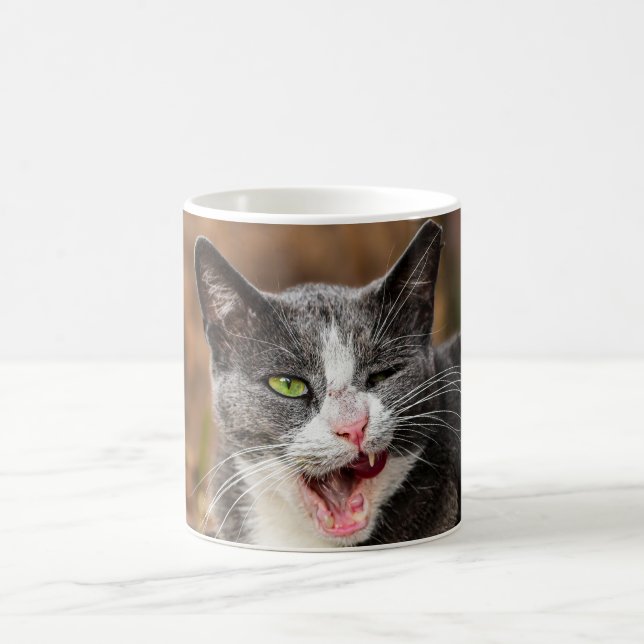 Drôle, béant, fatigué, tasse de café de chat (Centre)