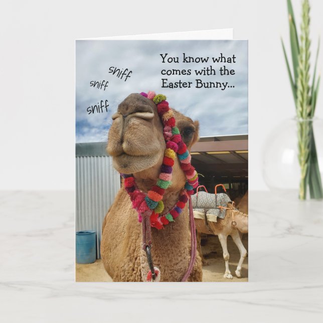 Drôle Camel Attend Pour Bunny Carte Pâques (Devant)