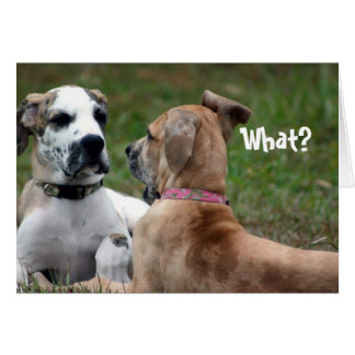 Drôle carte Awkward