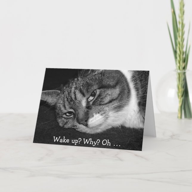 Drôle carte d'anniversaire avec chat : Réveillez-v (Devant)