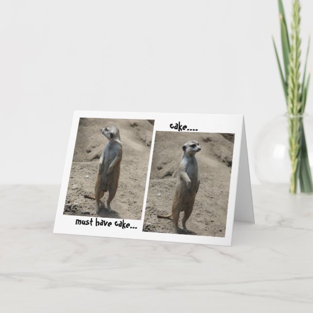 Drôle carte d'anniversaire Meerkat; doit avoir du  (Devant)