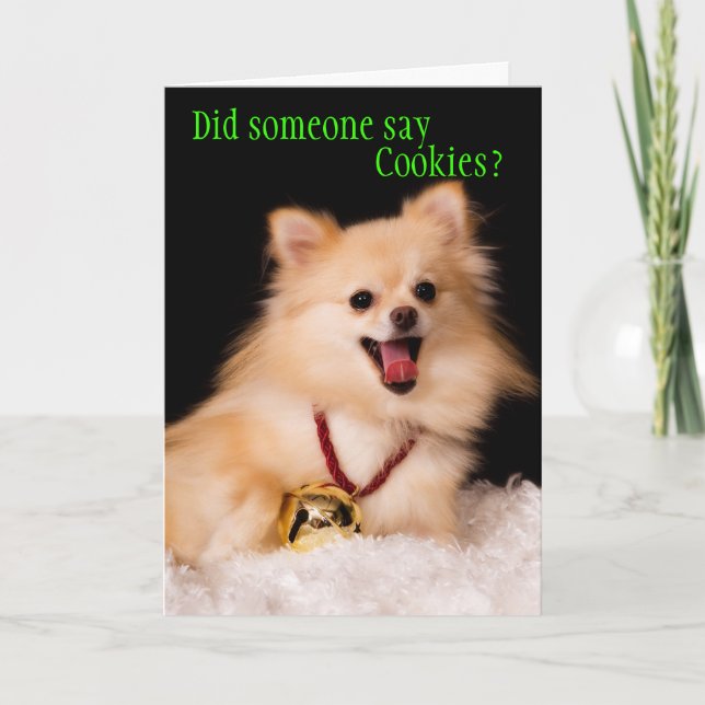 Drôle carte de Noël du chien (Devant)