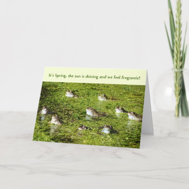 Drôle carte de Pâques - Grenouilles dans un étang (Devant)